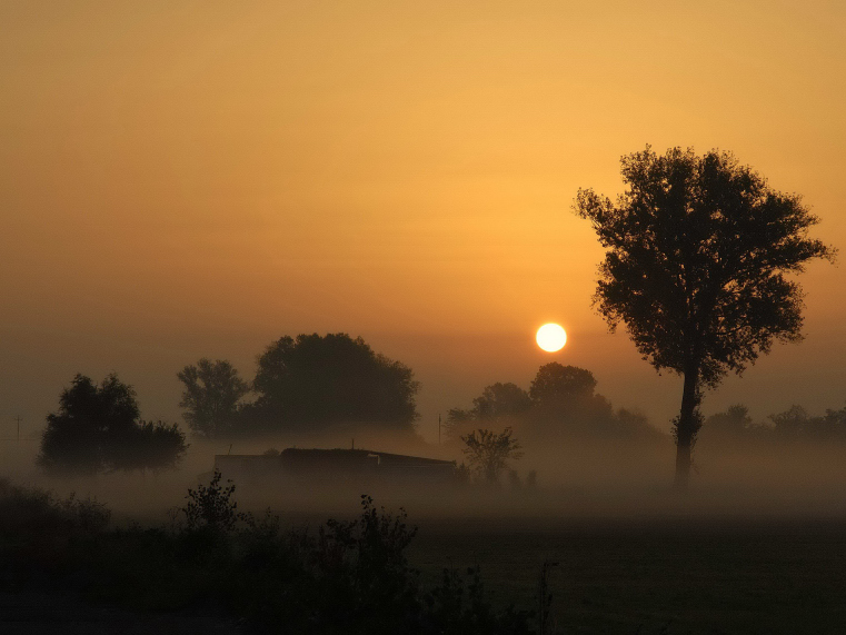 Parma-controluce.jpg