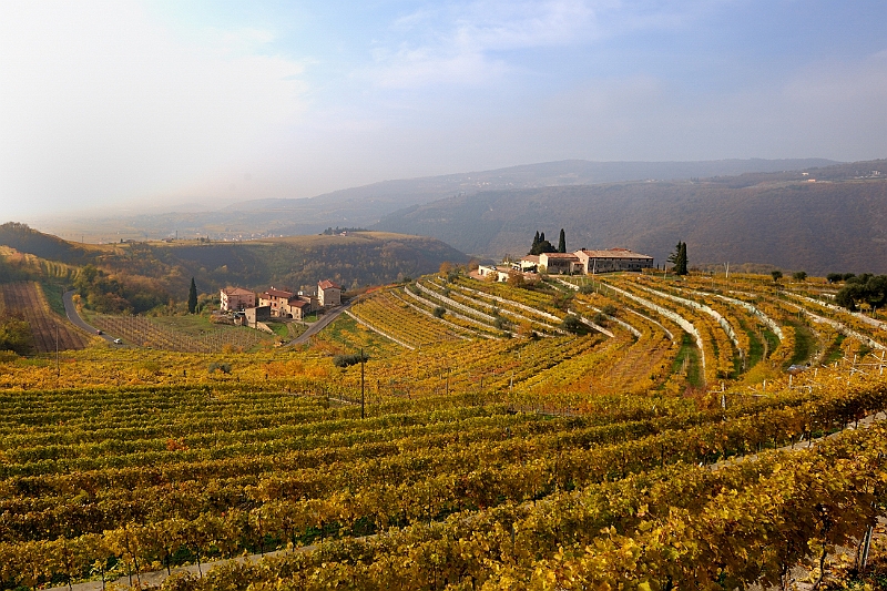 Valpolicella-2.JPG