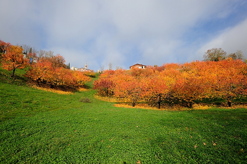 Valpolicella.JPG