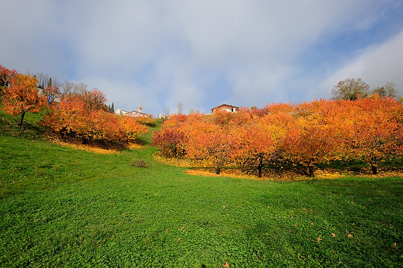 Valpolicella.JPG