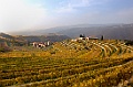 Valpolicella-5