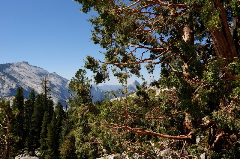 Yosemite-Viaggi-12.JPG