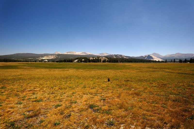 Yosemite-Viaggi-4.JPG