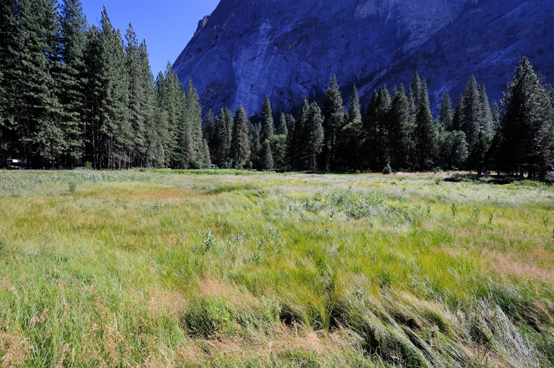 Yosemite-Viaggi-6.JPG
