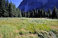 Yosemite-Viaggi-11