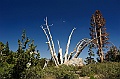 Yosemite-Viaggi-14
