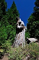 Yosemite-Viaggi-9